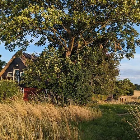 Under Valnodden Stubbekøbing