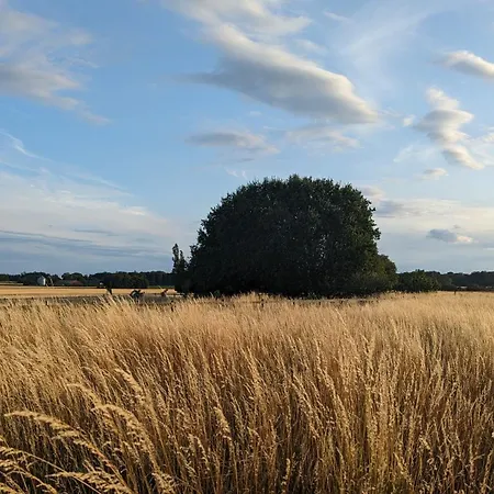 Under Valnodden לינה וארוחת בוקר *