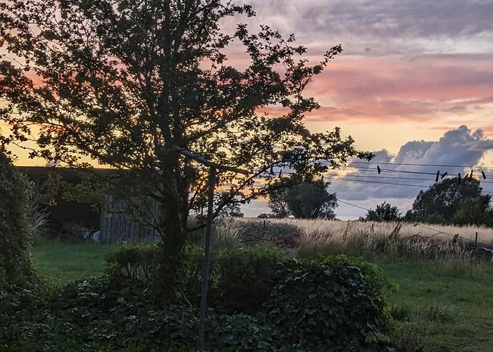 Bed & Breakfast Under Valnodden Stubbekobing